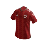 Wales Jersey