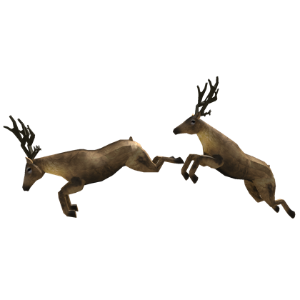 flying reindeer pictures