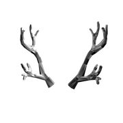 BIG- Silverthorn Antlers