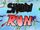 Tabula Rasa Studios/Shadow Run