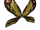 Mothra Wings