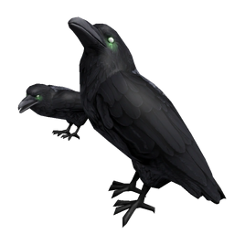 Dark Ravens