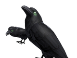 Каталог:Dark Ravens
