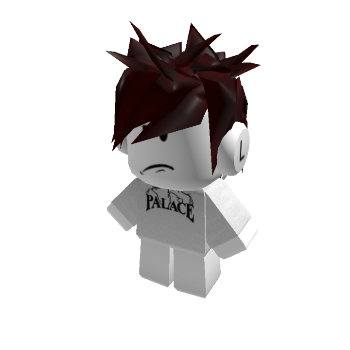 Category Items Obtained In The Avatar Shop Roblox Wikia Fandom - palace t shirt roblox pinkleaf logo