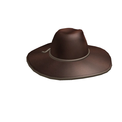 Big brown hat Clearance