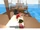 Palk47/Boat Wars: Red Vs Blue