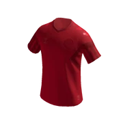 Denmark Jersey