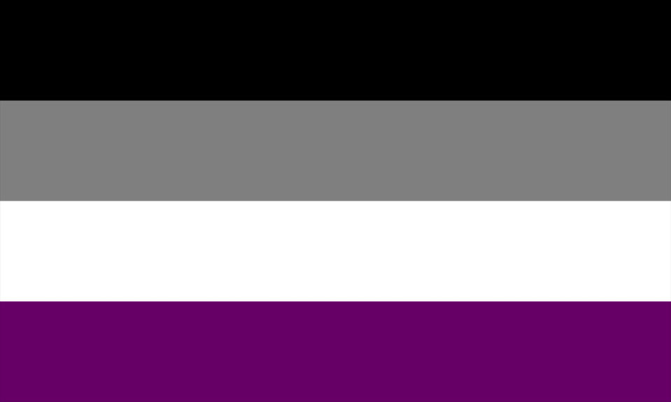 roblox lesbian flag