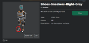 Right Shoe New