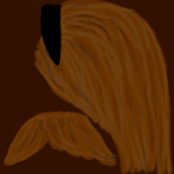 Cinnamon Hair, Wiki