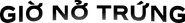 The Hatch logo in Vietnamese