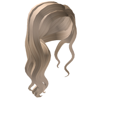 Category Hair Accessories Roblox Wikia Fandom - shimmering brown french braids roblox free