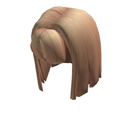 Pal Hair, Roblox Wiki