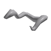 Boa Constrictor