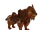 Maaus, the Battle Lion