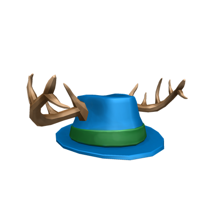 The Diamond Hat Roblox Wiki Fandom - roblox make a wish items
