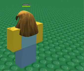 Accessory Roblox Wikia Fandom - how to remove hair in roblox game