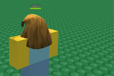 Máscara Facial de Urso, Roblox Wiki