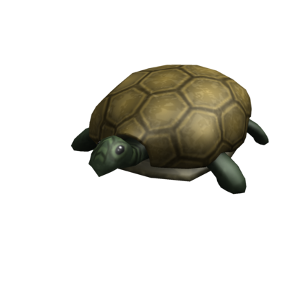 Catalog Turtle Shoulder Friend Roblox Wikia Fandom - shoulder brick texture roblox