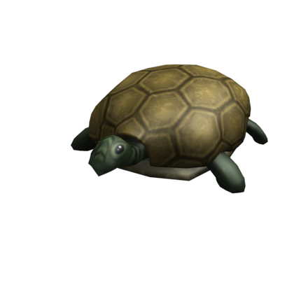 Catalog Turtle Shoulder Friend Roblox Wikia Fandom - turtles rule roblox