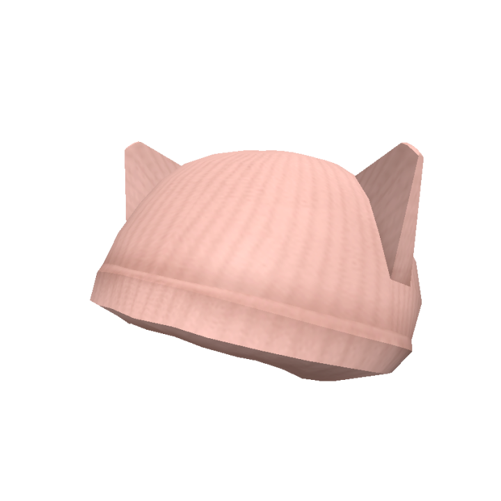 Category Hats Roblox Wikia Fandom - boarder beanie roblox