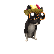 Tropical Pup