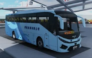 路博斯城際跨海大橋穿梭巴士