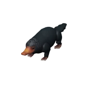 Niffler Companion