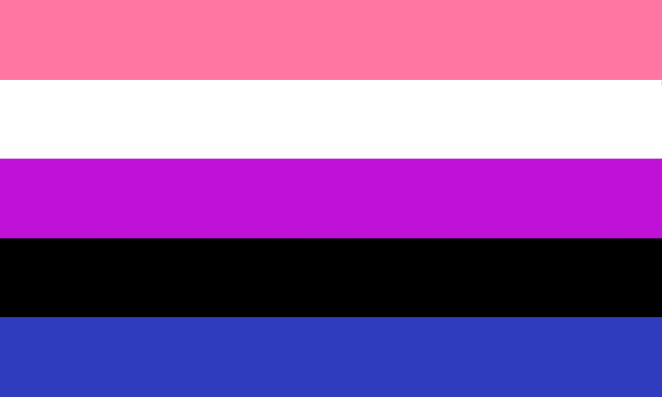 lesbian flag roblox id