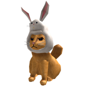 Crabby Bunny Cat