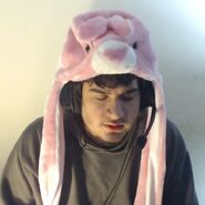 KonekoKittenWasTaken wearing a pink hat.