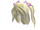 Adorable Blonde Bow Pigtails