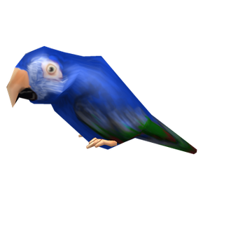 Blue Macaw | Roblox Wiki | Fandom