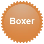 披萨包装员徽章