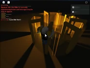 Another image from the perspective of the second player in the game.