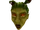 Medusa Head