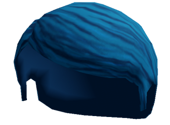 Canceled Items Accessories Roblox Wikia Fandom - accessories roblox wikia fandom blue bird cap roblox wikia fandom powered by wikia Canceled Items Accessories Roblox Wikia Fandom - blue bird cap roblox wikia fandom powered by wikia