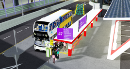 東錦葵海傍路2024