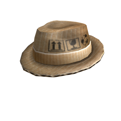 Category Articles With Trivia Sections Roblox Wikia Fandom - cardboard robot hat roblox