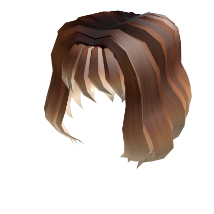 Short Brown Fluffy Hair, Roblox Wiki