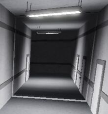 HallwayTrap.JPG.jpg