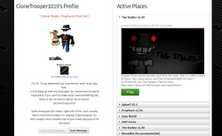 All About Profiles, Blurbs, and Profile Customization – Roblox Support