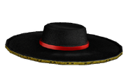 Black Hat