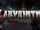 Nitenity Studios/The Labyrinth
