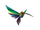 Colibri the Colorful