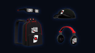 Promotional items for the event that were free.