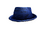 Sophisticated Blue Fedora