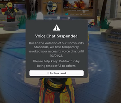 Voice chat, Roblox Wiki