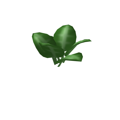 Catalog Vegetable Hat 2007 Roblox Wikia Fandom - plant on head roblox