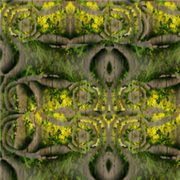 WanwoodTexture